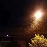 白蟻危害大，4-6月份進入其活躍期 防治白蟻不容忽視！